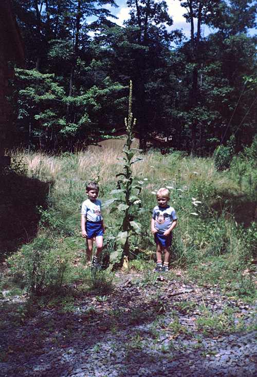 85-08-01, 00, Michael and Brian, Dingmans Ferry, PA