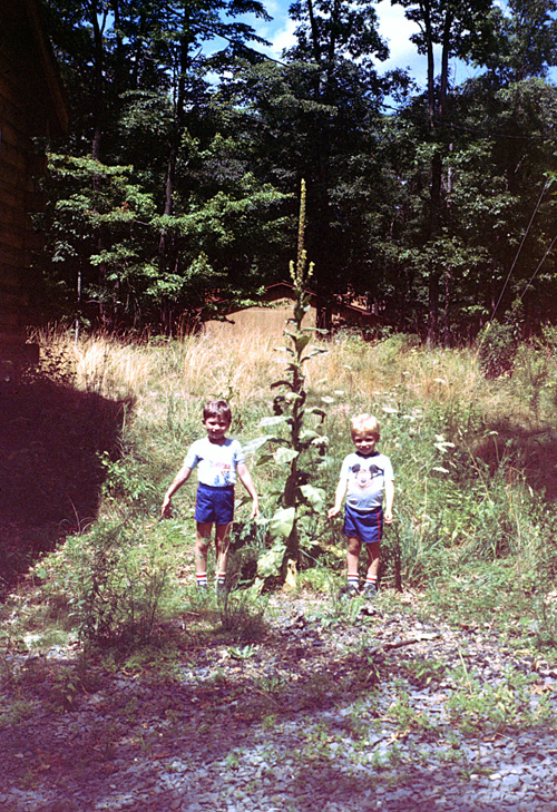 85-08-01, 01, Michael and Brian, Dingmans Ferry, PA