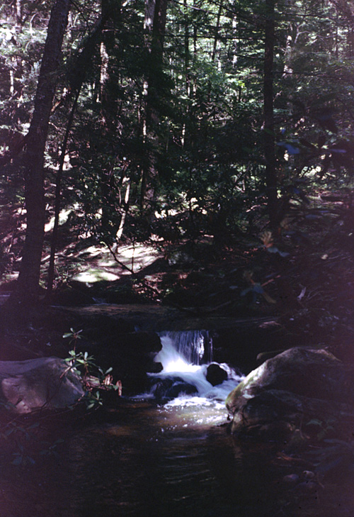 85-08-01, 04, Dingman Falls, Dingman Ferry, PA