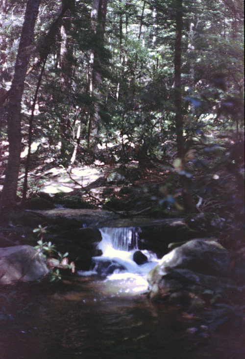 85-08-01, 05, Dingman Falls, Dingman Ferry, PA