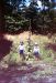 85-08-01, 01, Michael and Brian, Dingmans Ferry, PA