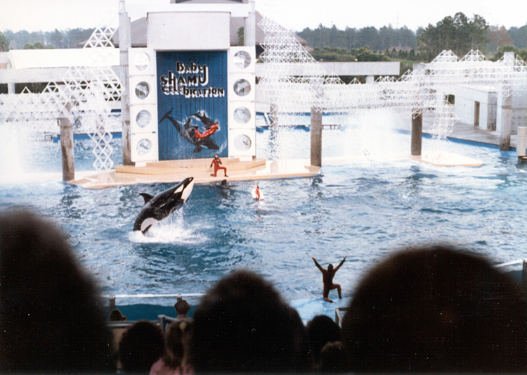 86-12-28, 47, Main Show at Sea World in Florida