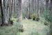 86-12-29, 14, Alligators, Gator Land in Florida