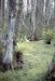 86-12-29, 15, Alligators, Gator Land in Florida