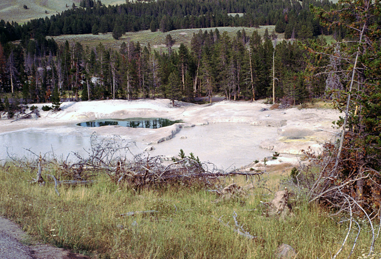 90-08-08, 37, Yellow Stone National Park. Wyoming