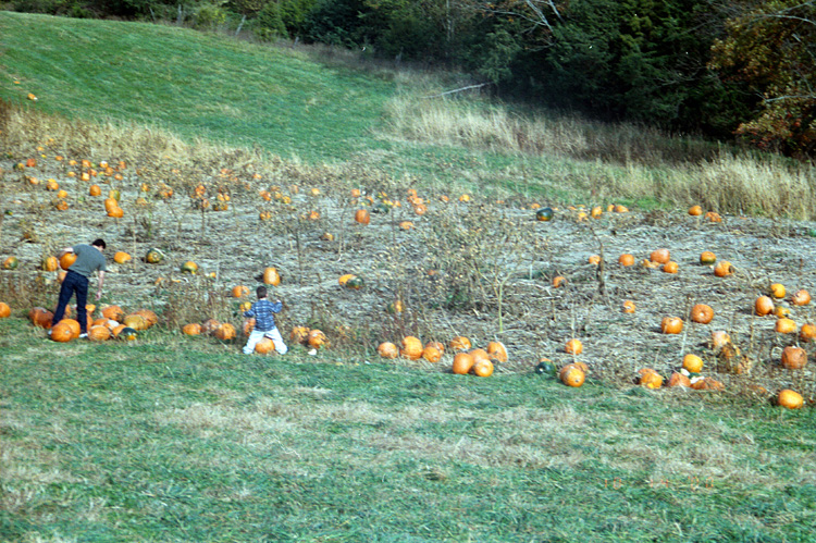 00-10-14, 03a, Mikey and Pumkins, Pumkin Picking Farm, NJ