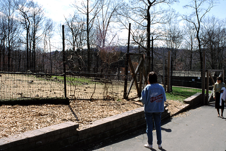 01-04-13, 16, Linda and Mikey, Turtle Back Zoo