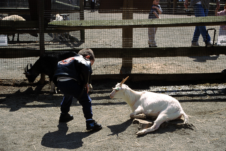 01-04-13, 18, Mikey with Goat, Turtle Back Zoo