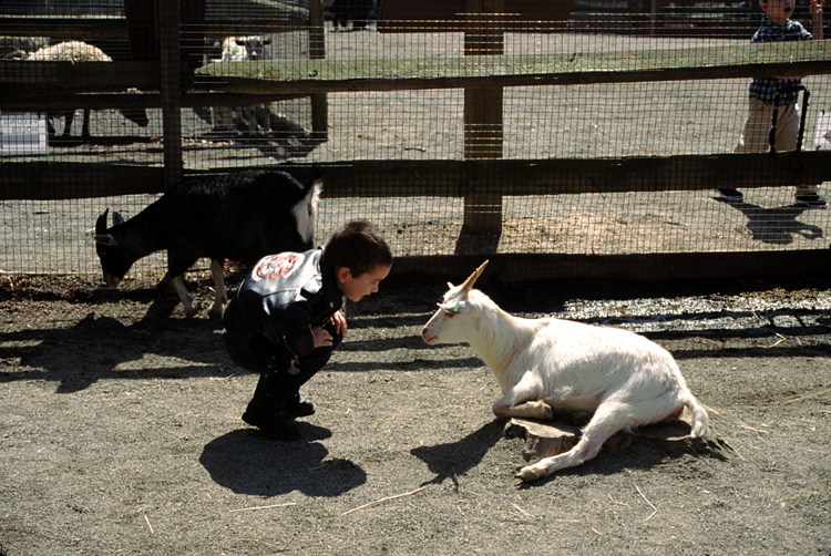 01-04-13, 19, Mikey with Goat, Turtle Back Zoo