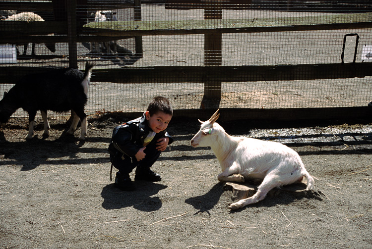 01-04-13, 20, Mikey with Goat, Turtle Back Zoo