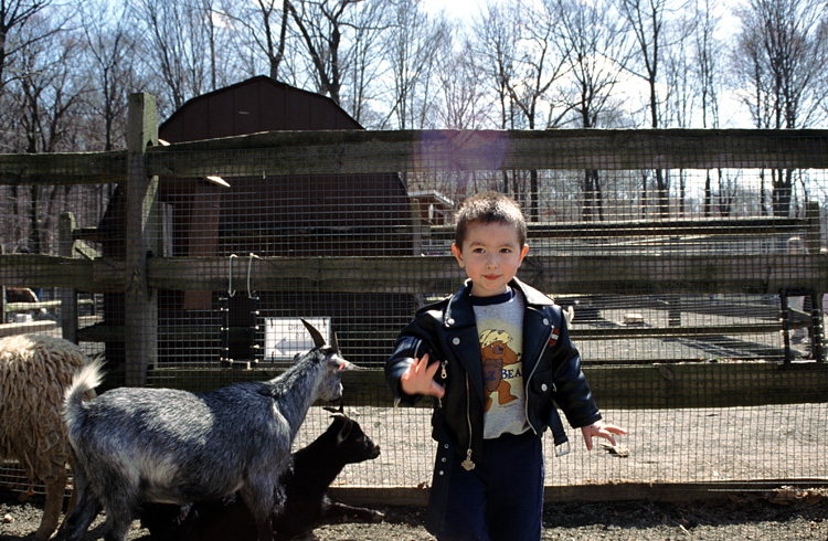 01-04-13, 22, Mikey with Goats, Turtle Back Zoo