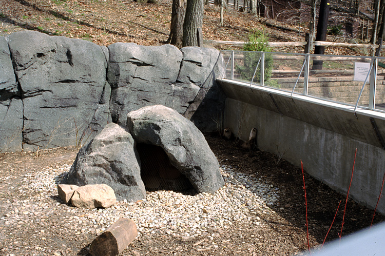 01-04-13, 36, Otters, Turtle Back Zoo