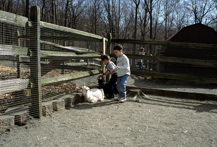 01-04-13, 41, Mikey with Goats, Turtle Back Zoo