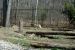 01-04-13, 10, Wolf, Turtle Back Zoo