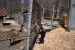 01-04-13, 17, Mikey and a Emu, Turtle Back Zoo