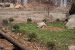 01-04-13, 31, Bob Cat, Turtle Back Zoo