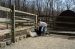 01-04-13, 40, Mikey with Goats, Turtle Back Zoo