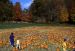 01-10-20, 29, Mikey and Pumkins, Pumkin Picking Farm, NJ
