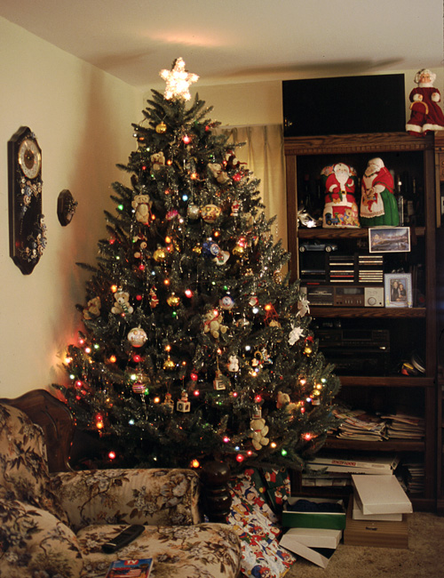 01-12-25, 02, Christmas, Tree, Saddle Brook, NJ