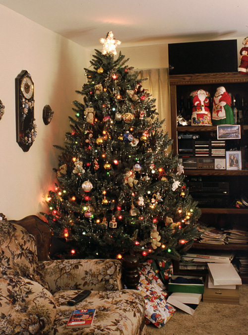 01-12-25, 03, Christmas, Tree, Saddle Brook, NJ