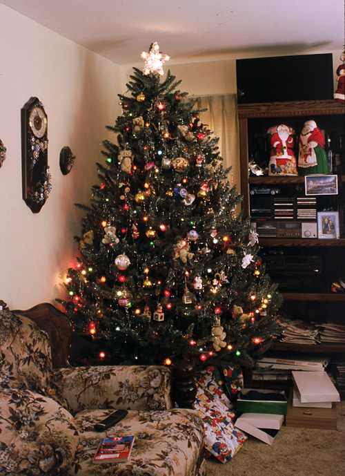 01-12-25, 04, Christmas, Tree, Saddle Brook, NJ