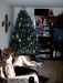 01-12-25, 01, Christmas, Brian & Tree, Saddle Brook, NJ