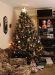 01-12-25, 03, Christmas, Tree, Saddle Brook, NJ