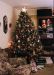 01-12-25, 04, Christmas, Tree, Saddle Brook, NJ