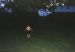 02-07-16, 14, Mikey running in sprinklers, SB, NJ