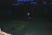 02-07-16, 19, Mikey running in sprinklers, SB, NJ