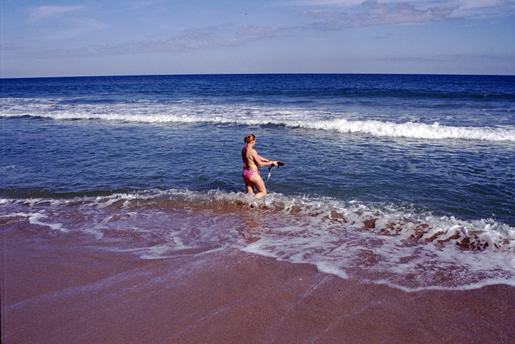 02-12-24, 13, Canaveral National Seashore, Florida