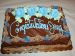 03-06-01, 01, Cake, Gerry's Graduation Party