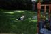 04-05-15, 17, Connor in Sprinklers