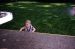 04-05-15, 18, Connor in Sprinklers