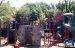 05-05-30, 03, Connor, Saddle River Park