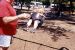 05-05-30, 18, Connor, Saddle River Park