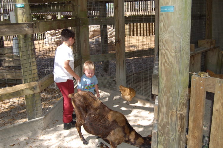 06-03-01, 06, Connor, Mikey, Brevard Zoo, Fl