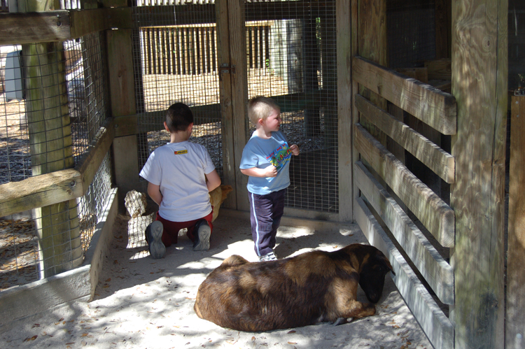 06-03-01, 09, Mikey, Connor,  Brevard Zoo, Fl