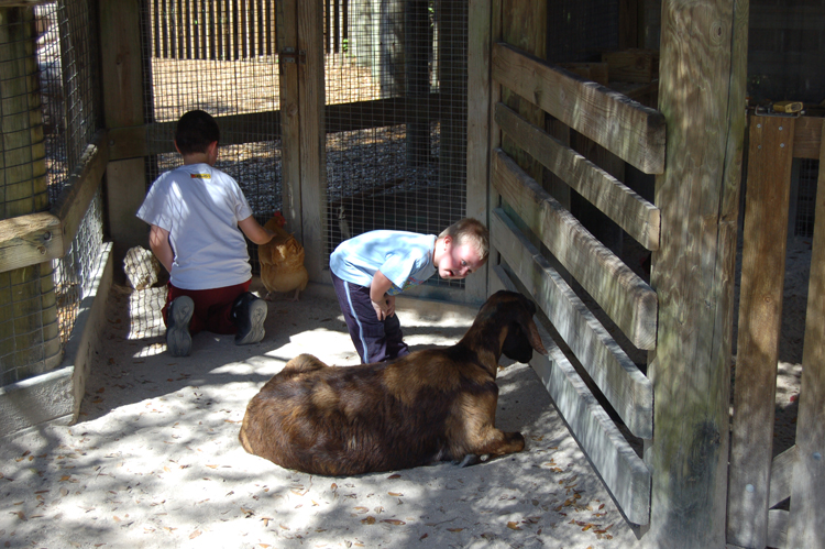 06-03-01, 10, Mikey, Connor,  Brevard Zoo, Fl