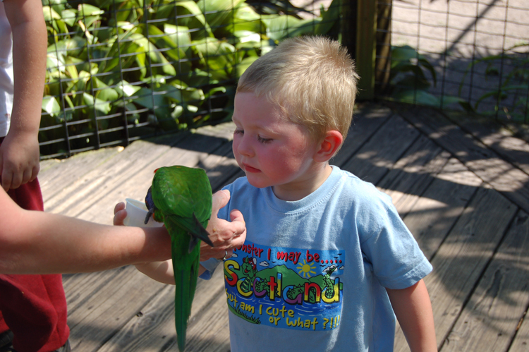 06-03-01, 43, Connor,  Brevard Zoo, Fl