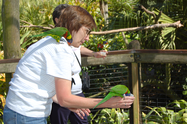 06-03-01, 44, Linda,  Brevard Zoo, Fl
