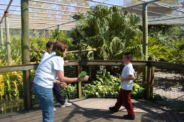 06-03-01, 45, Mikey, Linda, Sue, Brevard Zoo, Fl