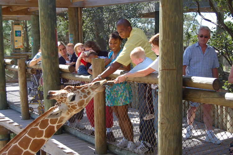 06-03-01, 54, Linda, Connor, Giraffee, Brevard Zoo, Fl