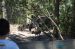 06-03-01, 16, Ant Eater,  Brevard Zoo, Fl