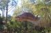 06-03-01, 25, Dinosaur,  Brevard Zoo, Fl