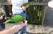06-03-01, 37, Birds, Brevard Zoo, Fl