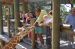 06-03-01, 55, Linda, Connor, Giraffee,  Brevard Zoo, Fl