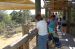 06-03-01, 66, Linda, Connor, Giraffee,  Brevard Zoo, Fl