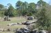 06-03-01, 67, Giraffee,  Brevard Zoo, Fl