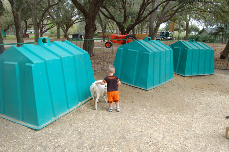 06-03-02, 34, Connor with Goats, Green Meadows, Fl